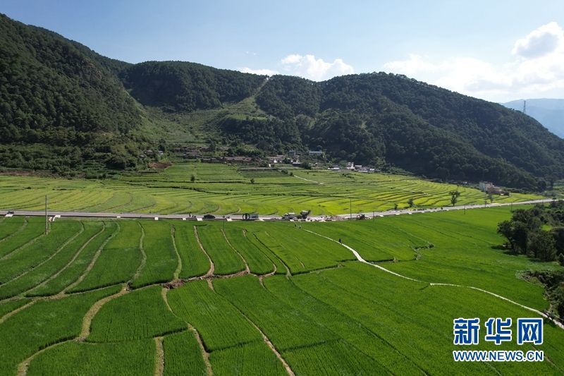 从三名种子选手看凉山州建设安宁河现代农业硅谷的实力储备