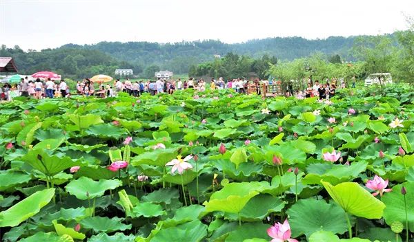 朝阳凉水井子风景区图片