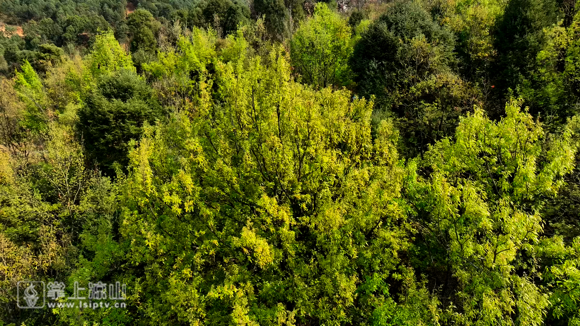云上凉山