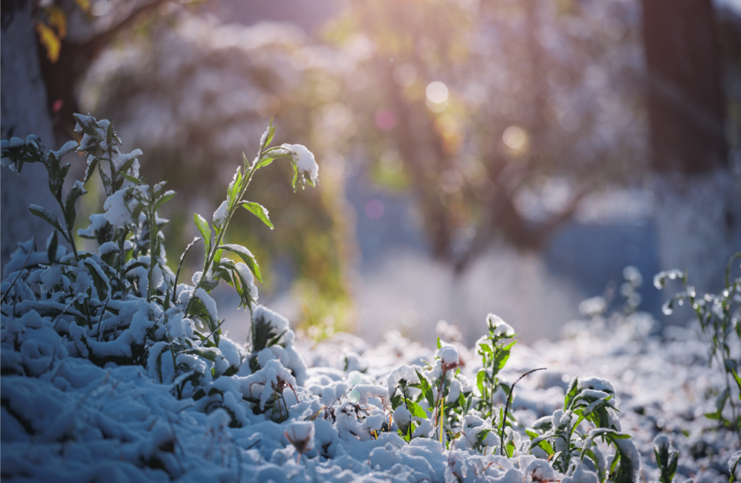 西昌发射场下雪了沟里风景美如画